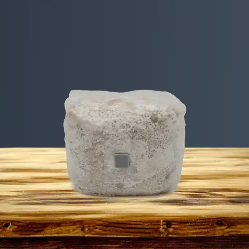 Inoculated Grain Spawn