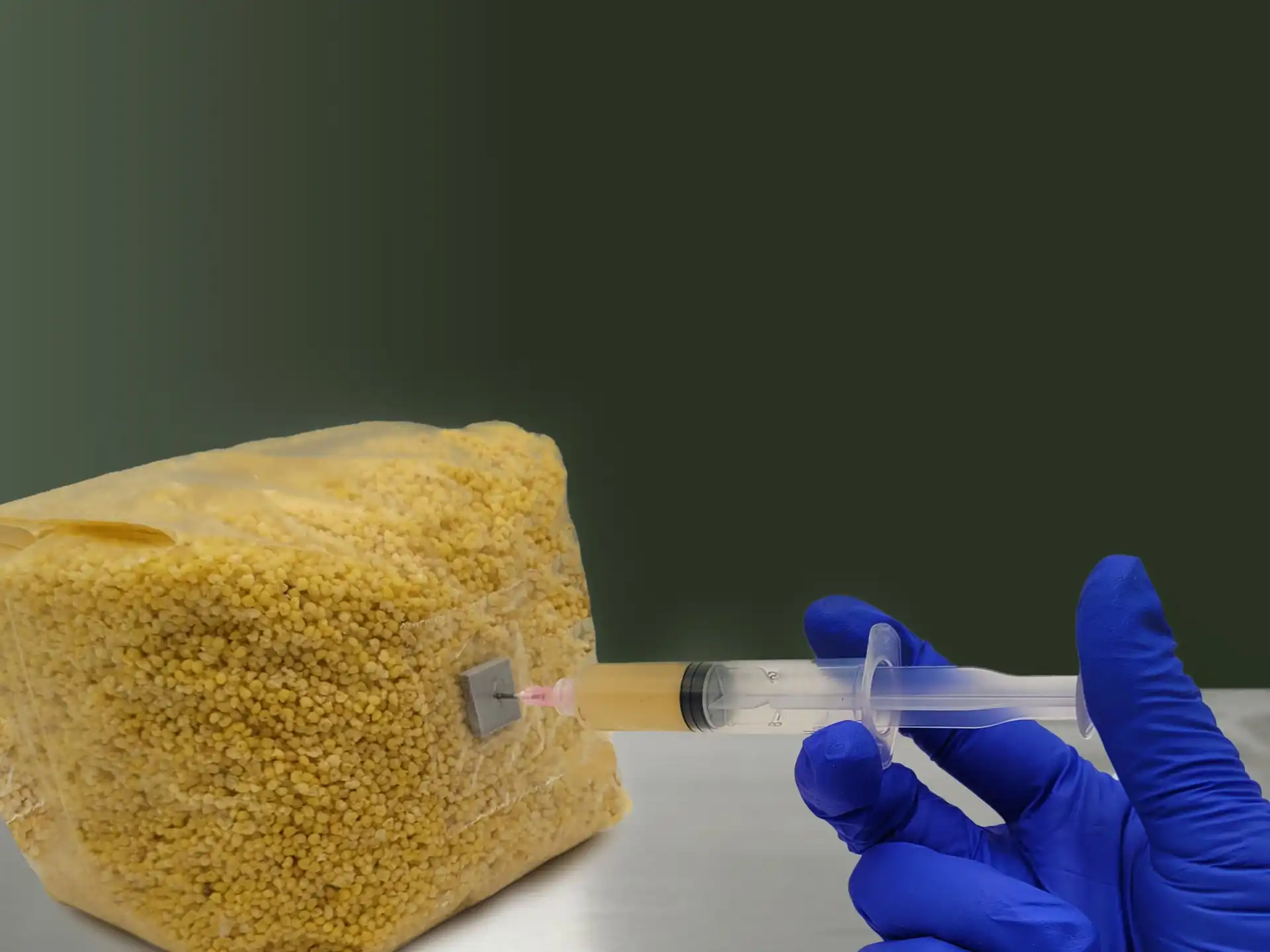 Liquid Mushroom Cultures