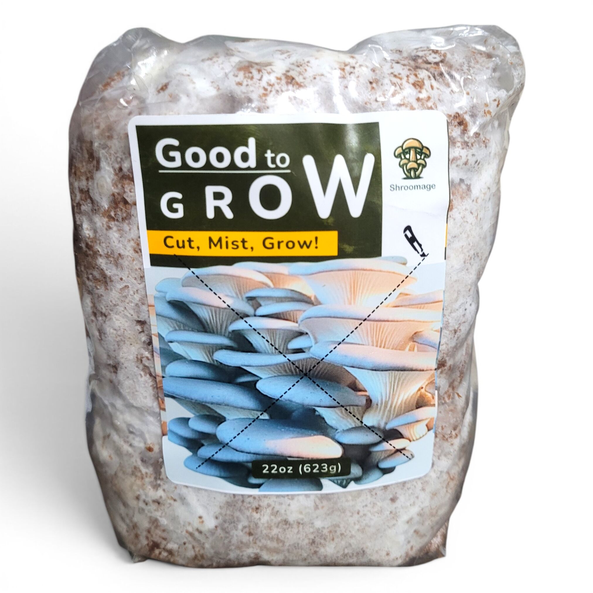 The Ultimate Guide to the Shroomage Blue Oyster Countertop Mushroom Grow Kit 