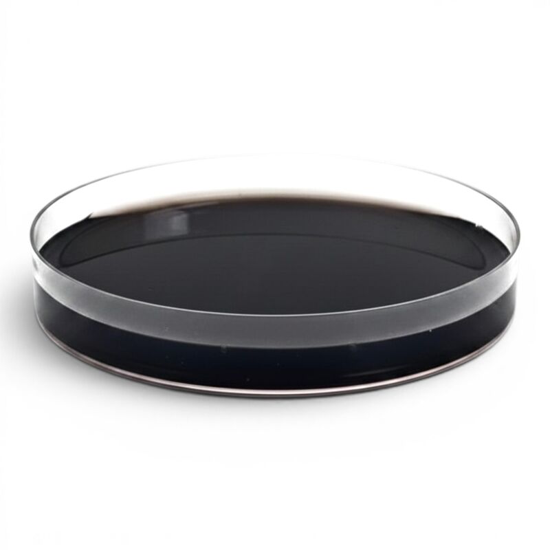 Black agar petri dish demonstrating the high-contrast media created with Shroomage activated charcoal.
