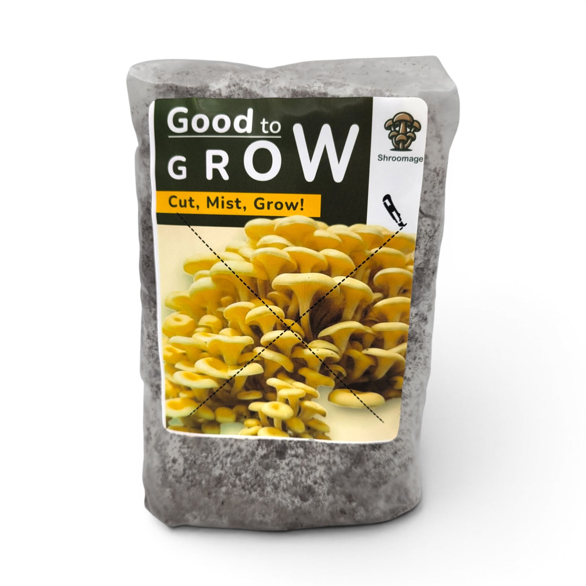 The Ultimate Guide to the Shroomage Golden Oyster Countertop Mushroom Grow Kit 