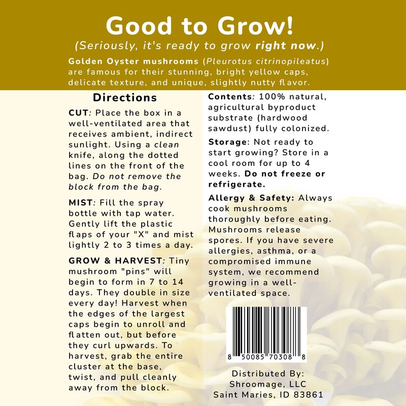 Back label of the Shroomage Golden Oyster Good-to-Grow Mushroom Kit 