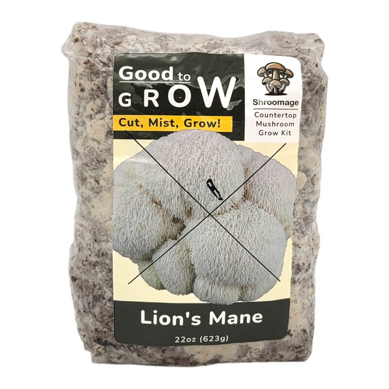 The lion's mane good to grow kit having been unopened. Just the product itself. 