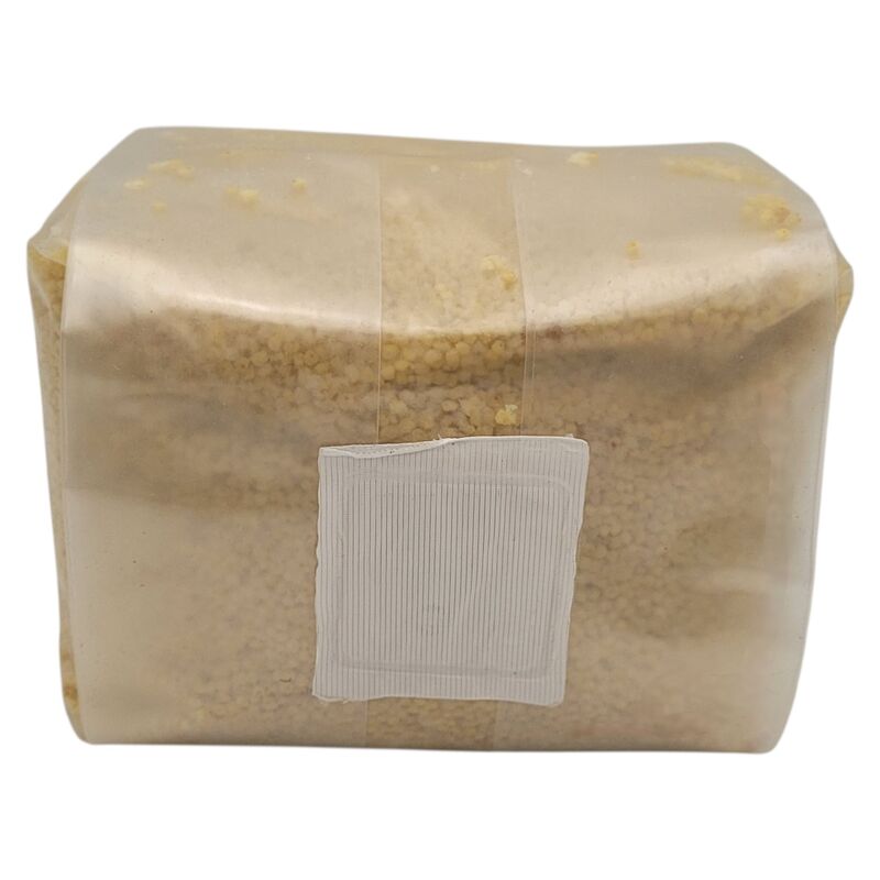 Back Side of Mushroom Grain Substrate Bag