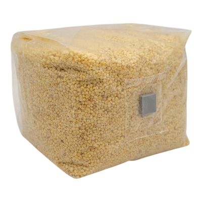 Millet