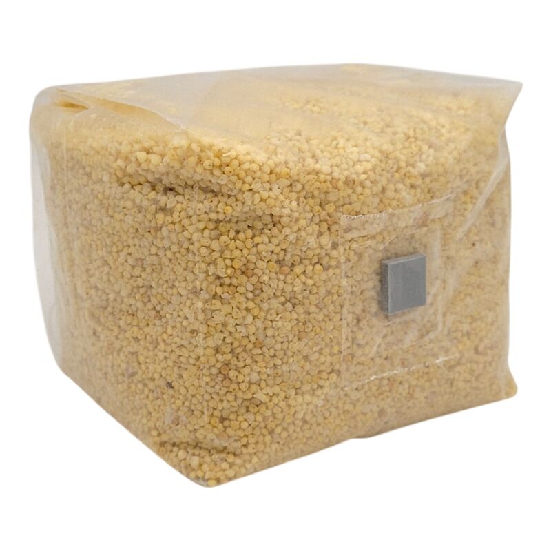 Millet
