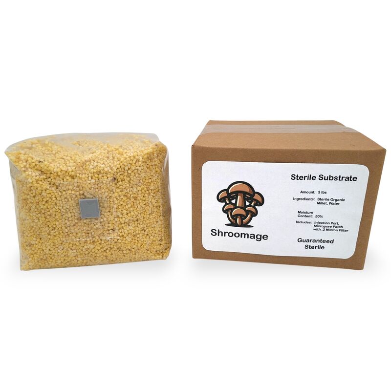 Mushroom Substrate of Millet Sitting By Its Shipping Box