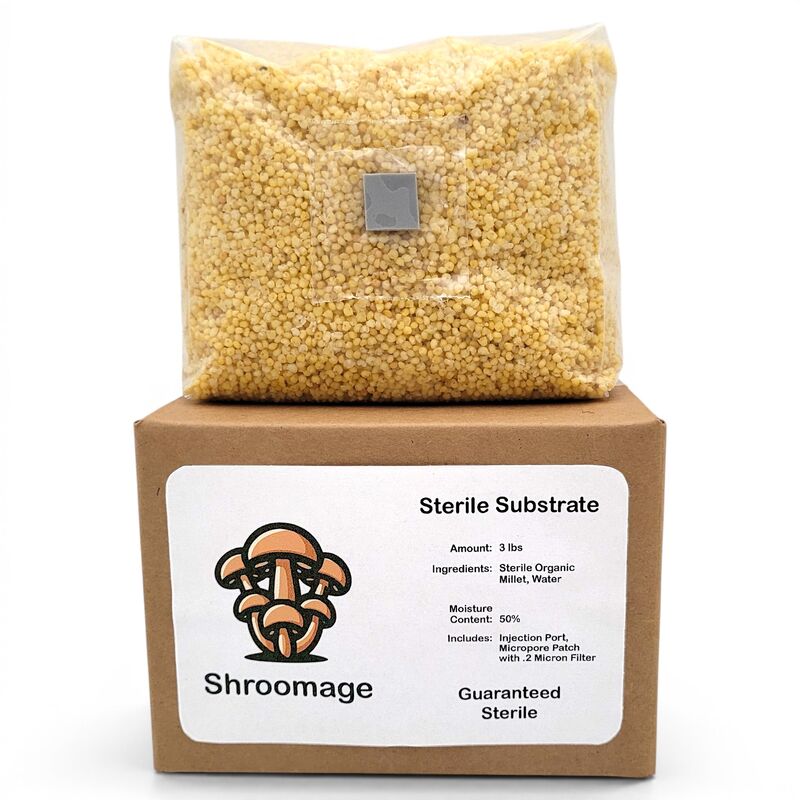Sterilized Millet On Its Shipping Box