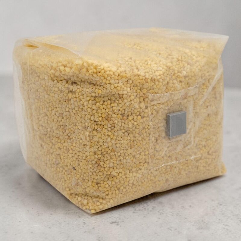 Mushroom Millet Substrate Sitting on a Table