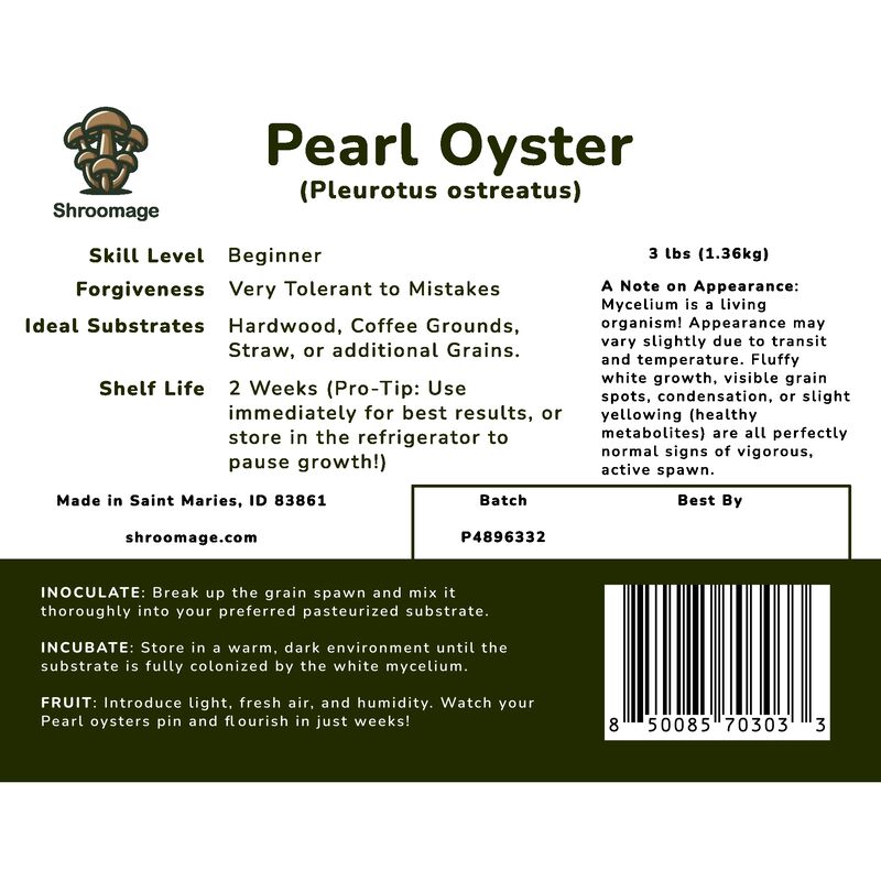 Back panel of the 3 lb Pearl Oyster grain spawn bag highlighting the breathable filter patch and fully colonized millet.