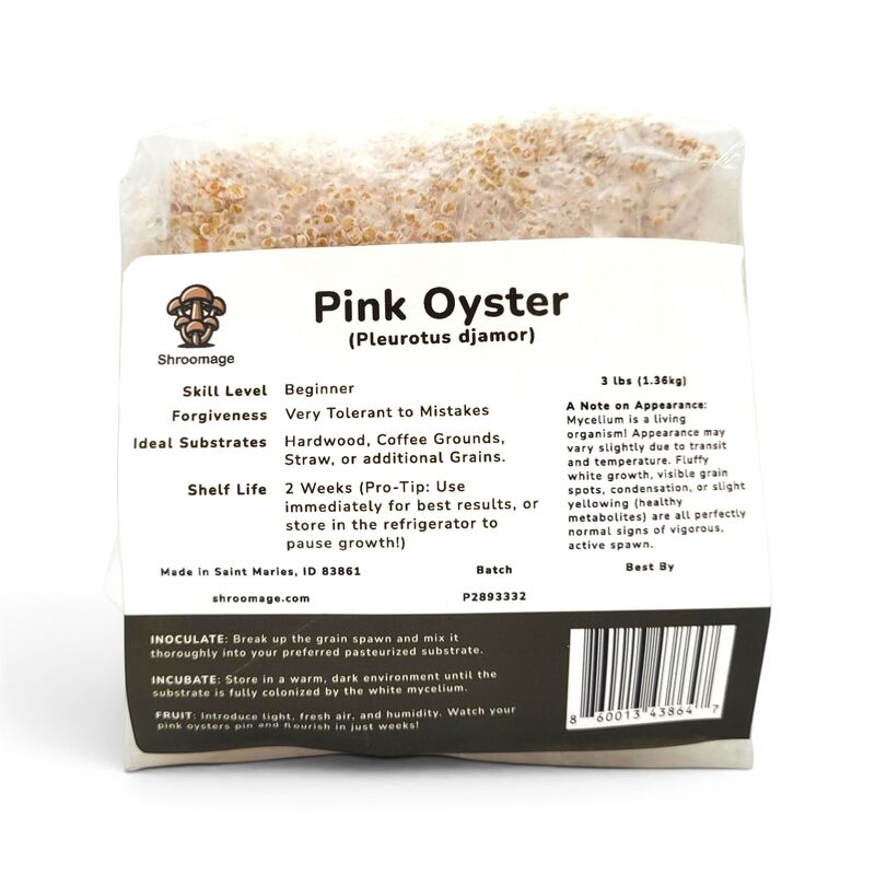 Organic Pink Oyster Grain Spawn - Fully Colonized