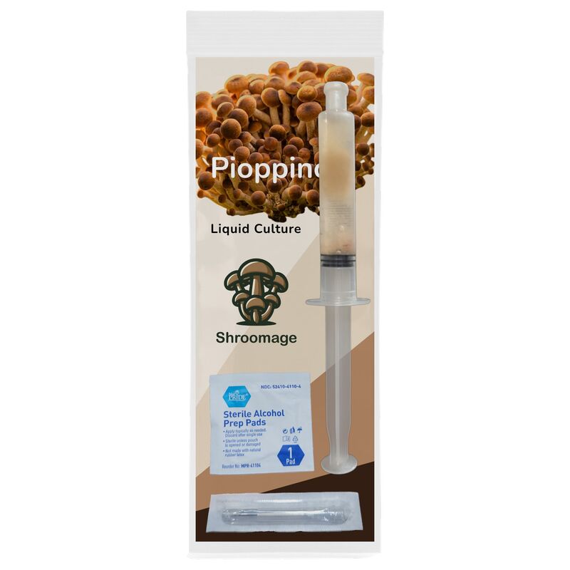 The entire pioppino mushroom liquid culture kit sitting inside its original packaging.