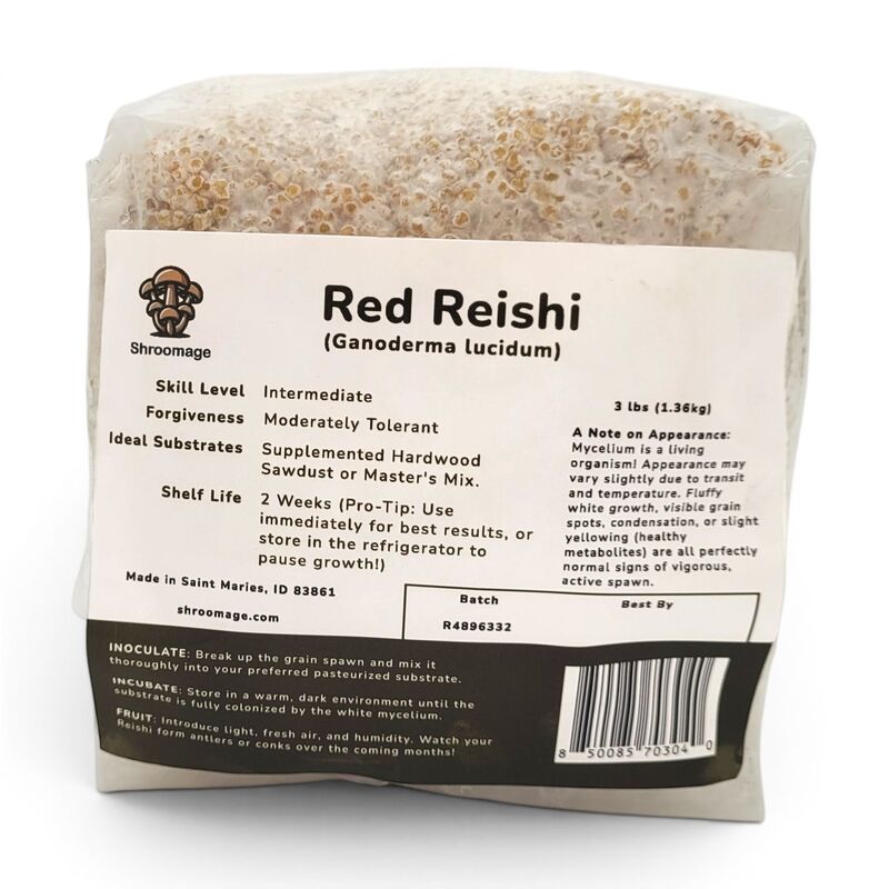 Back panel of the 3 lb Red Reishi grain spawn bag highlighting the breathable filter patch and fully colonized millet.