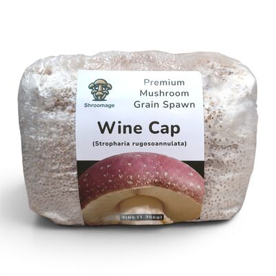 The wine cap grain spawn in its consumer facing packaging with the front facing the camera.
