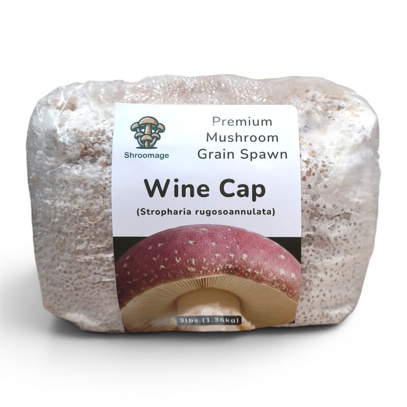 The wine cap grain spawn in its consumer facing packaging with the front facing the camera. 