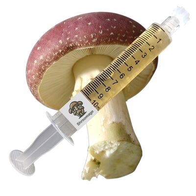 The liquid culture syringe is sitting prominently in front of a plump fresh wine cap mushroom.